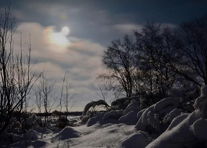 Levibooking Moonlight 112 *